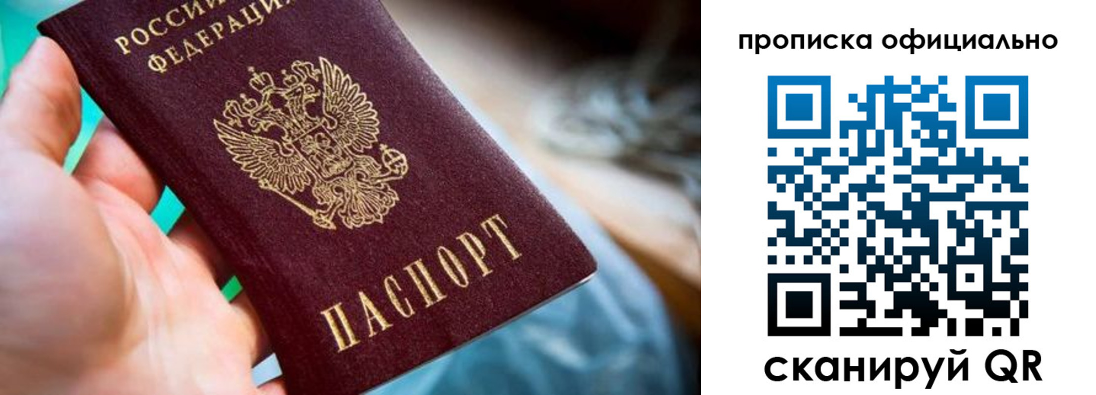 прописка поиск в Камешково